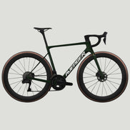FOREST GREEN