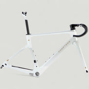 WHITE + GREY (TAURIPARIPA)