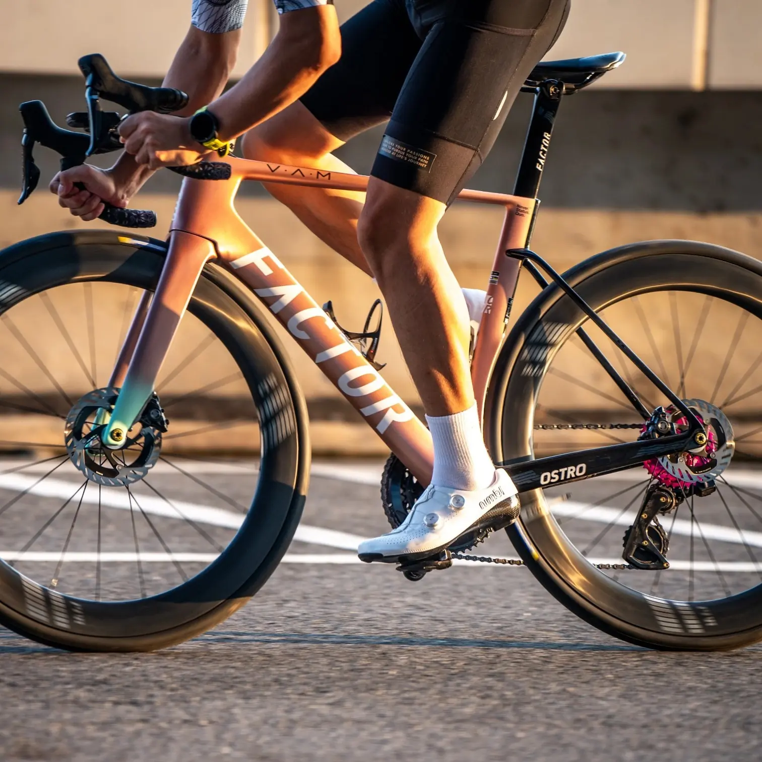 2026 FARSPORTS EVO C Series carbon wheelset with CH01 ratchet hubs and Alpina Ultralite aero steel spokes